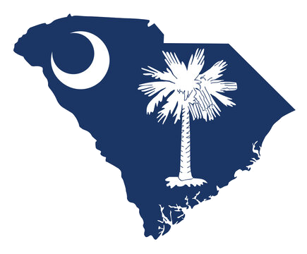 Palmetto Services LLC of SC logo